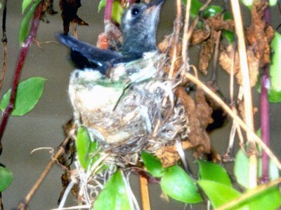 One Day in&nbsp;September